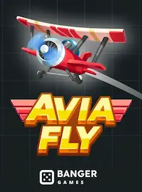 Avia Fly crash at 95OK COM